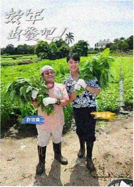 高清视频在线观看 - 行业资讯